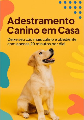Adestramento Canino em Casa