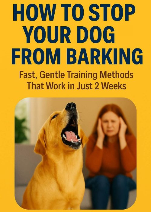 Nova capa corrigida jpg